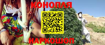 гидра Заводоуковск