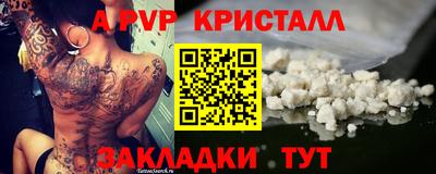 гидра Заводоуковск