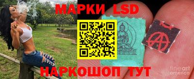 дмт Жуковский
