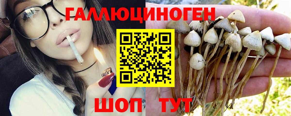 Галлюциногенные грибы мицелий  Галлюциногенные грибы Magic Shrooms  купить   Вход с VPN  Коломна 