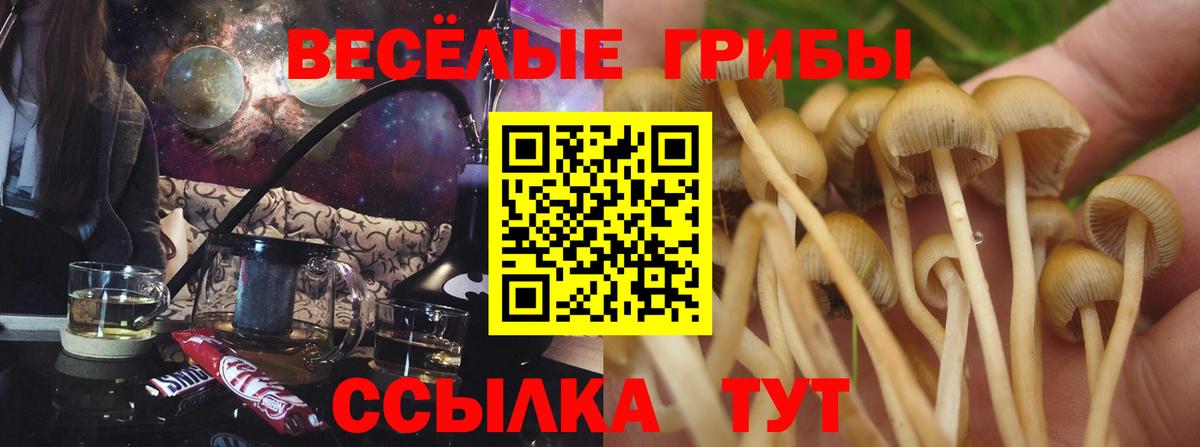 Псилоцибиновые грибы GOLDEN TEACHER Коломна